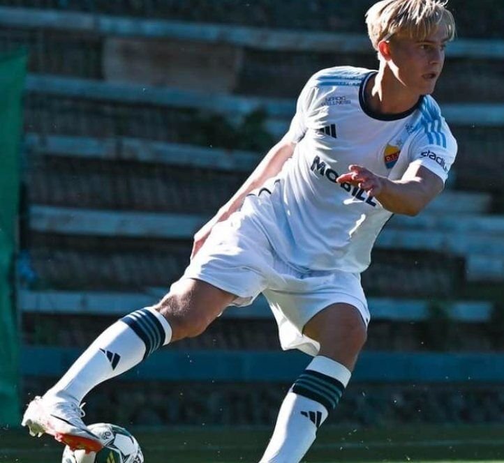 Djurgårdens en acción