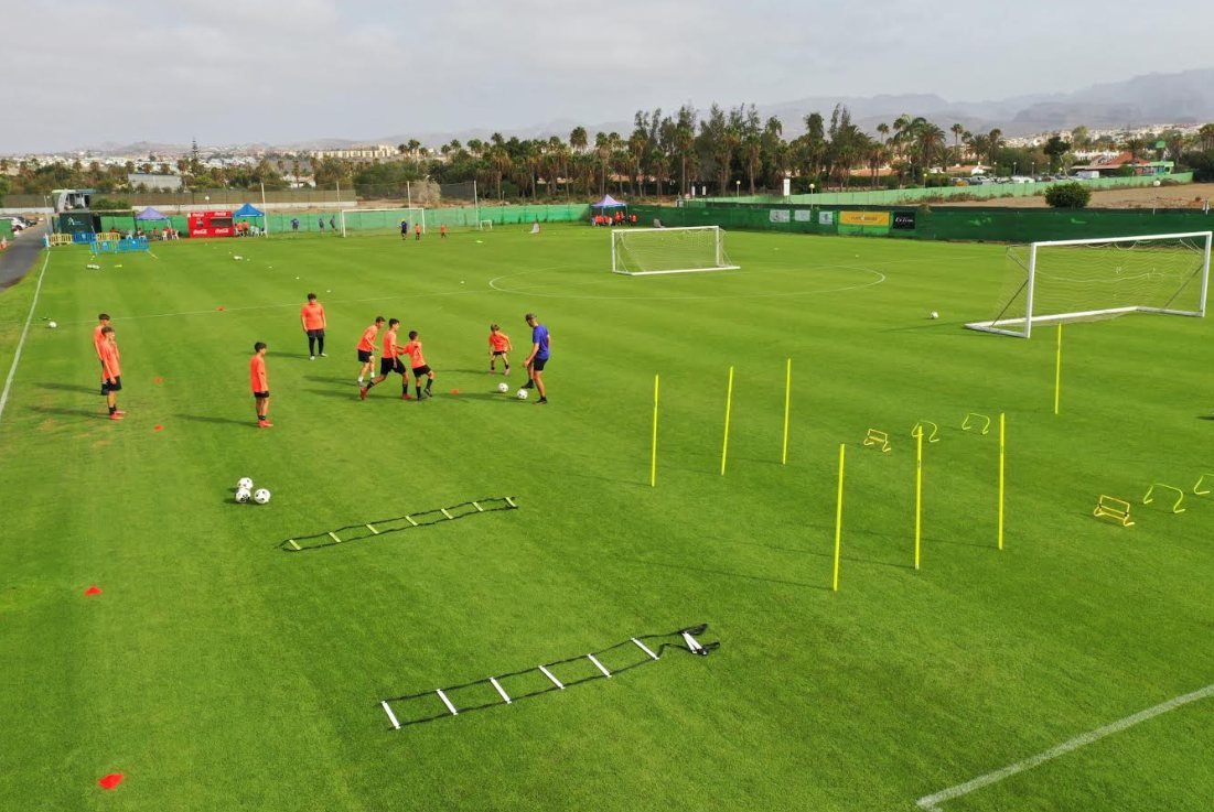 Material de entrenamiento